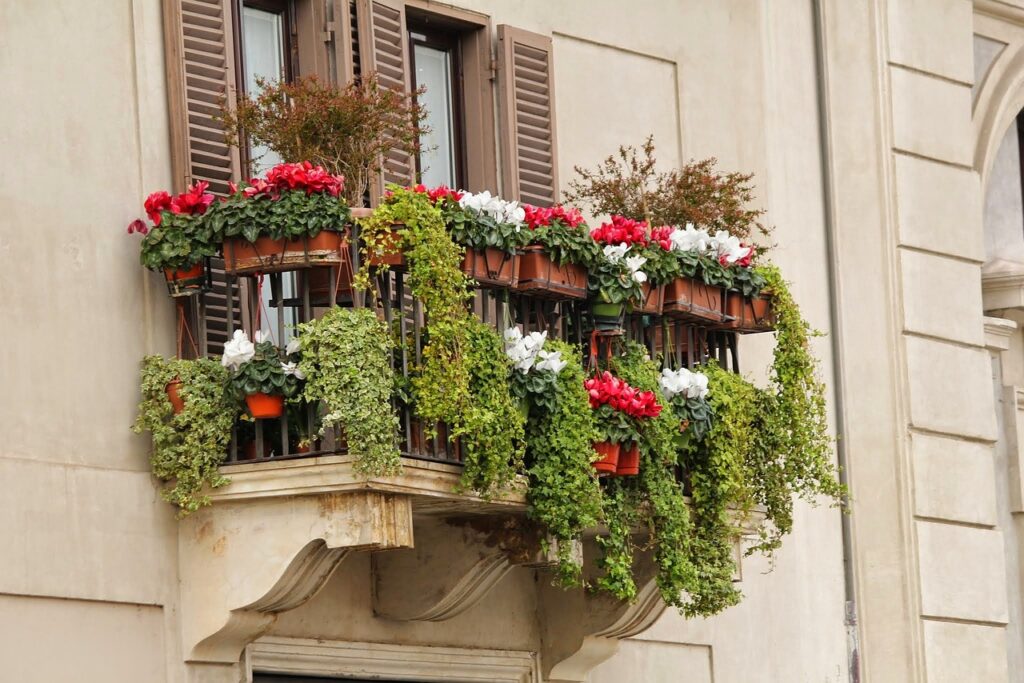 balcony, flower box, flower-979257.jpg